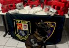 Polícia Militar apreende grande quantidade de drogas na zona norte de Marília