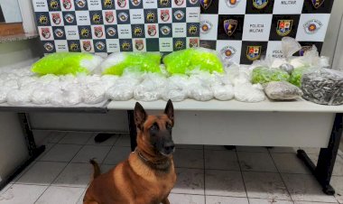 PM apreende grande quantidade de drogas na zona norte de Marília