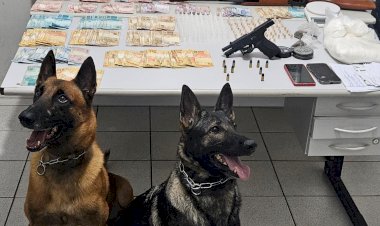 Com ajuda dos cães Seth e Kaia, Polícia Militar prende homem por tráfico de drogas e posse ilegal de arma de fogo na zona sul de Marília