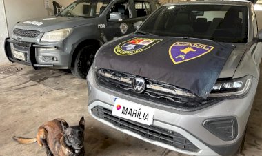 Empresário é preso em Marília após comprar carro clonado