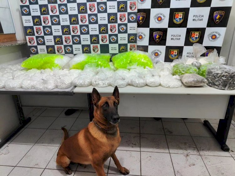 PM apreende grande quantidade de drogas na zona norte de Marília
