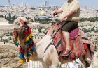 TURISMO Multiplica procura por Israel na Hadassa Viagens 