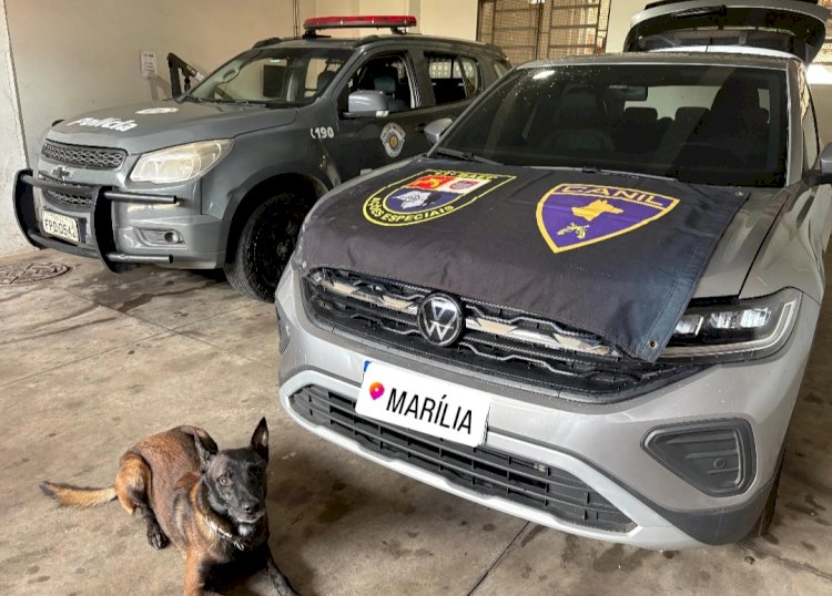 Empresário é preso em Marília após comprar carro clonado